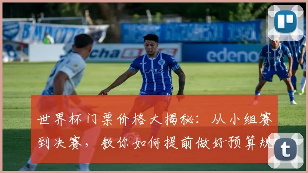 世界杯门票价格大揭秘：从小组赛到决赛，教你如何提前做好预算规划